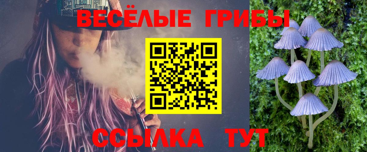 Псилоцибиновые грибы Psilocybine cubensis Нижнеудинск