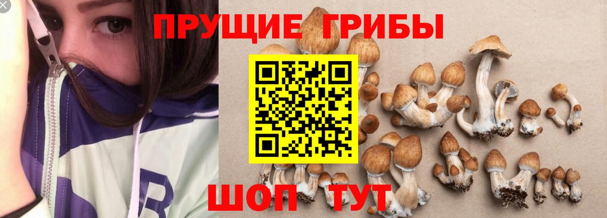 Нижнеудинск  Галлюциногенные грибы ЛСД  Вход с VPN  Галлюциногенные грибы GOLDEN TEACHER 